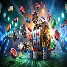 119bet win